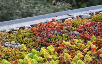 the cost of Cefn Brith green roof installation