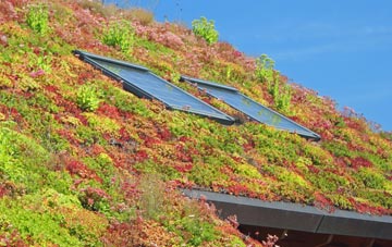 Cefn Brith living roof systems