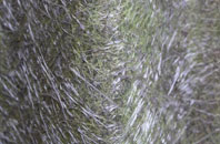 Cefn Brith fibreglass roof work